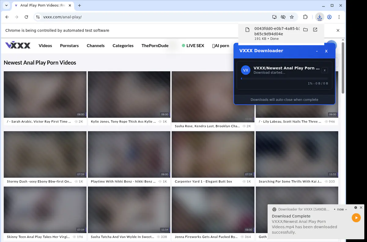 Vxxx Video Downloader browser extension screenshot 2
