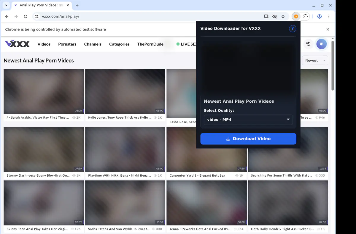 Vxxx Video Downloader browser extension screenshot 3